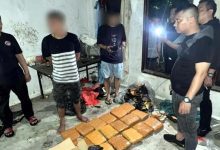 Subdit II Ditresnarkoba PMJ Gagalkan Peredaran 18,8 Kg Ganja