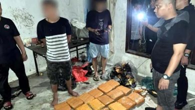 Subdit II Ditresnarkoba PMJ Gagalkan Peredaran 18,8 Kg Ganja