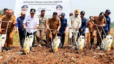 Andra Soni Canangkan Gerakan Tanam Jagung untuk Ketahanan Pangan