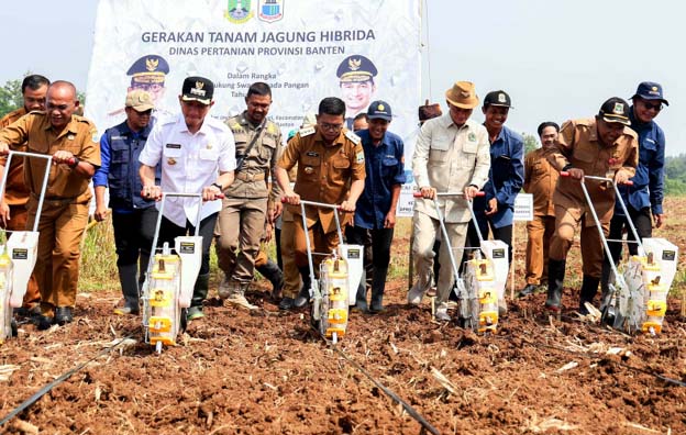 Andra Soni Canangkan Gerakan Tanam Jagung untuk Ketahanan Pangan