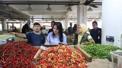Kemendagri Apresiasi Kinerja Pengendalian Inflasi di Kota Tangerang