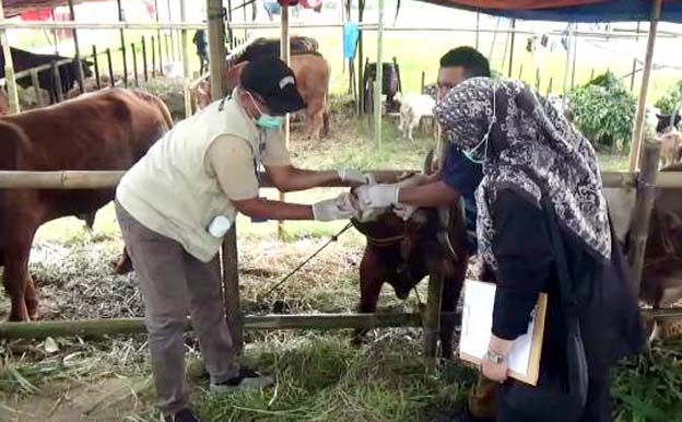 Pemkot Tangerang Vaksinasi 919 Hewan Kurban Jelang Iduladha 1447 H
