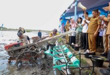Provinsi Banten Tembus Delapan Besar Lumbung Beras Nasional
