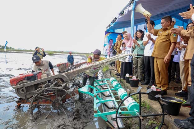 Provinsi Banten Tembus Delapan Besar Lumbung Beras Nasional