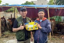 Pemkot Tangerang Lakukan Pengawasan Lapak Hewan Kurban