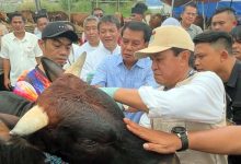 Maesyal Rasyid Pastikan Hewan Kurban Sehat dan Aman