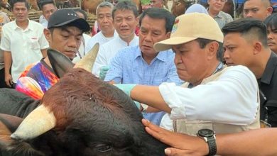Maesyal Rasyid Pastikan Hewan Kurban Sehat dan Aman