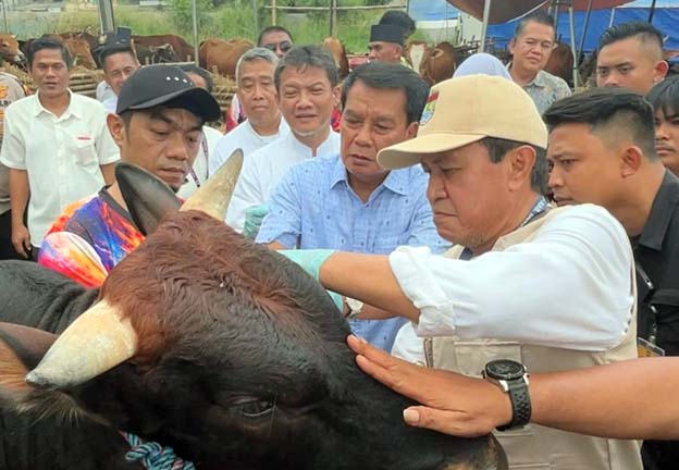 Maesyal Rasyid Pastikan Hewan Kurban Sehat dan Aman