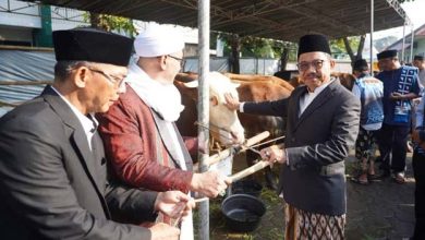 Momen Iduladha, Sachrudin Ajak Warga Perkuat Kepedulian Sosial