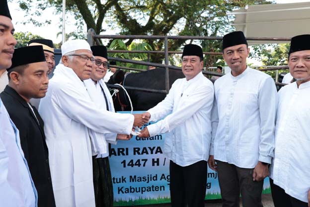 Bupati Tangerang Serahkan Sapi Kurban Bantuan Presiden