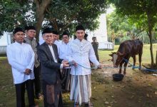 Wagub Dimyati Pastikan Hewan Kurban ASN Pemprov Banten Sehat