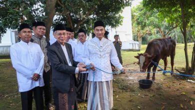 Wagub Dimyati Pastikan Hewan Kurban ASN Pemprov Banten Sehat