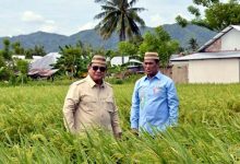 PENAS XVII, Presiden Tinjau Teknologi Pertanian Modern