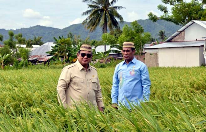 PENAS XVII, Presiden Tinjau Teknologi Pertanian Modern