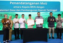Wagub Banten Dorong Sinergi Perkuat Ketahanan Pangan Desa