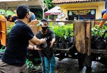 Pemkot Tangerang Sediakan Bibit Tanaman Gratis