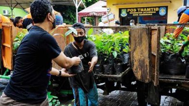 Pemkot Tangerang Sediakan Bibit Tanaman Gratis