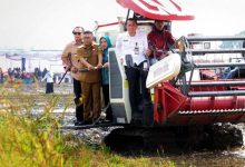 Andra Soni Tegaskan Petani Harus Terapkan Pertanian Modern