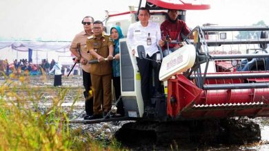 Andra Soni Tegaskan Petani Harus Terapkan Pertanian Modern