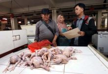 Kota Tangerang Catat Inflasi Terendah di Provinsi Banten