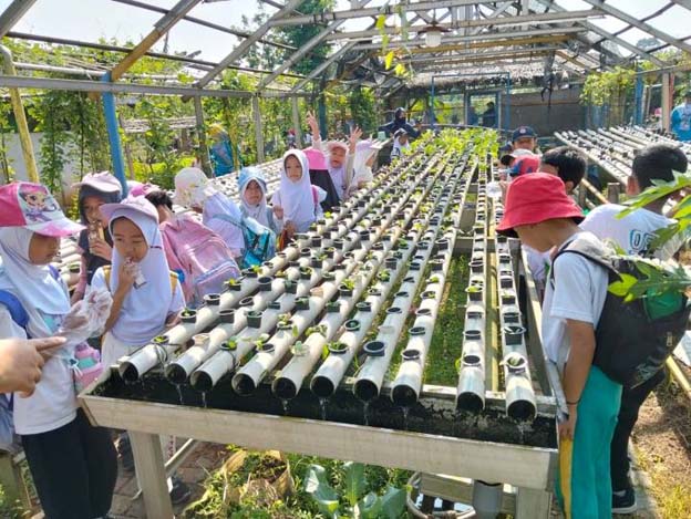 BLK Kota Tangerang Buka Pendaftaran Pelatihan Hidroponik Gratis