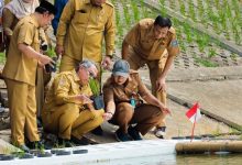 Pemkot Tangsel Lakukan Uji Coba Tanam Padi Apung di Tandon Ciater